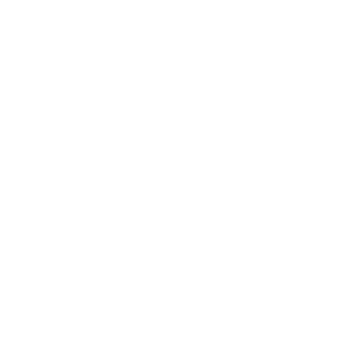 Transporte Pesado